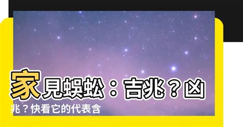 蜈蚣逼幾號|【看到蜈蚣代表什麼】蜈蚣出沒驚魂！看到蜈蚣代表什麼吉凶預兆？